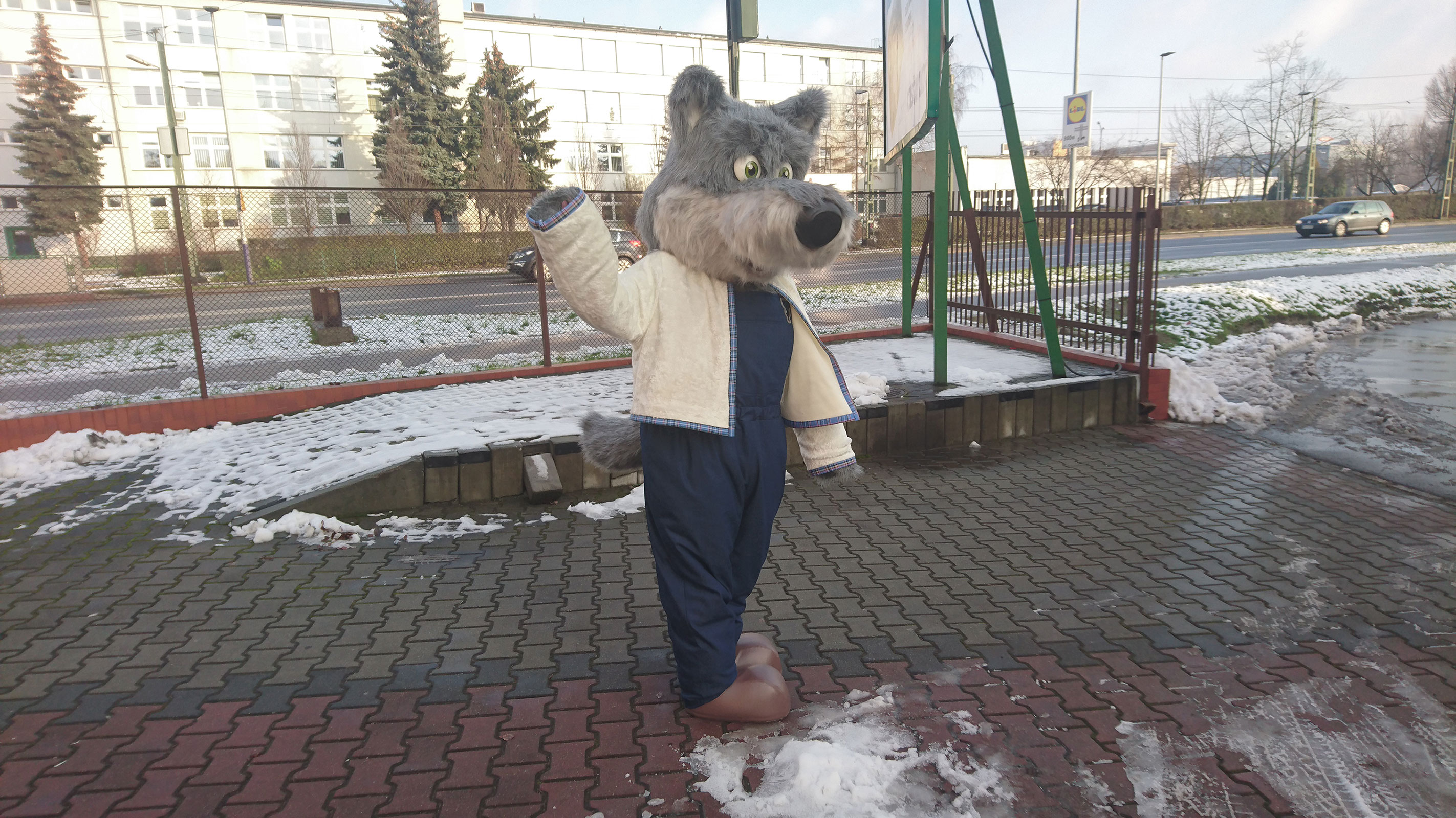 Na fotografii widnieje customowy strój reklamowy Wilk, stojący na jednej z ulic Krakowa
